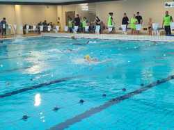 Illustration de la galerie